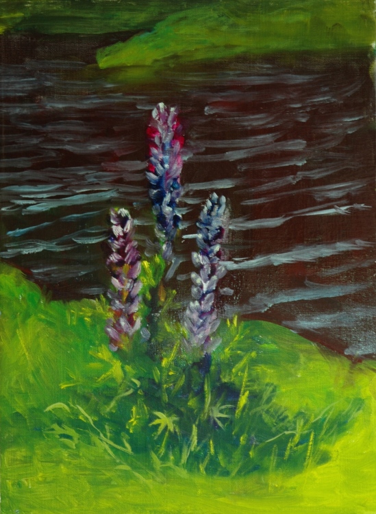 Lupines, AFTER