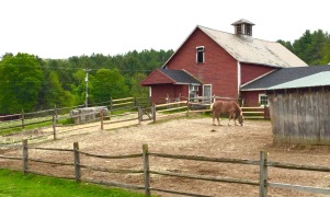 Horse yard at Stonewall Farm